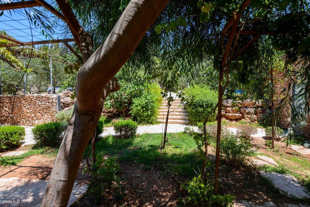 Tur Sinai Organic Farm Resort Єрусалим Екстер'єр фото